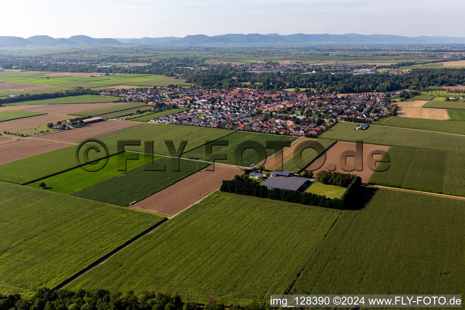 Steinweiler dans le département Rhénanie-Palatinat, Allemagne vue du ciel