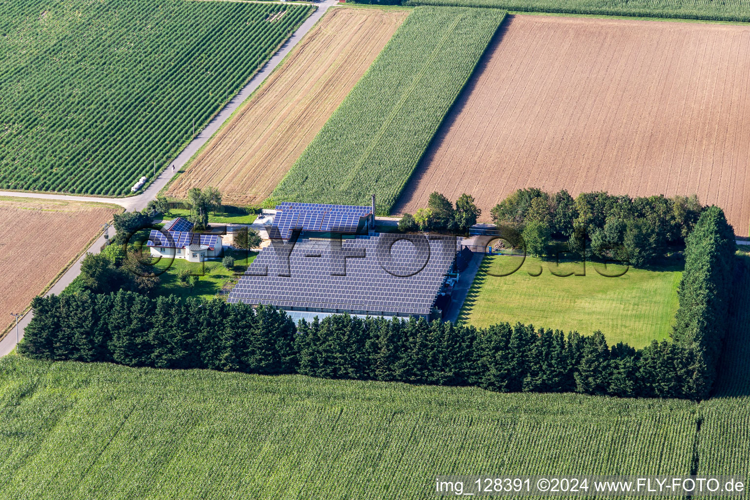 Enregistrement par drone de Steinweiler dans le département Rhénanie-Palatinat, Allemagne