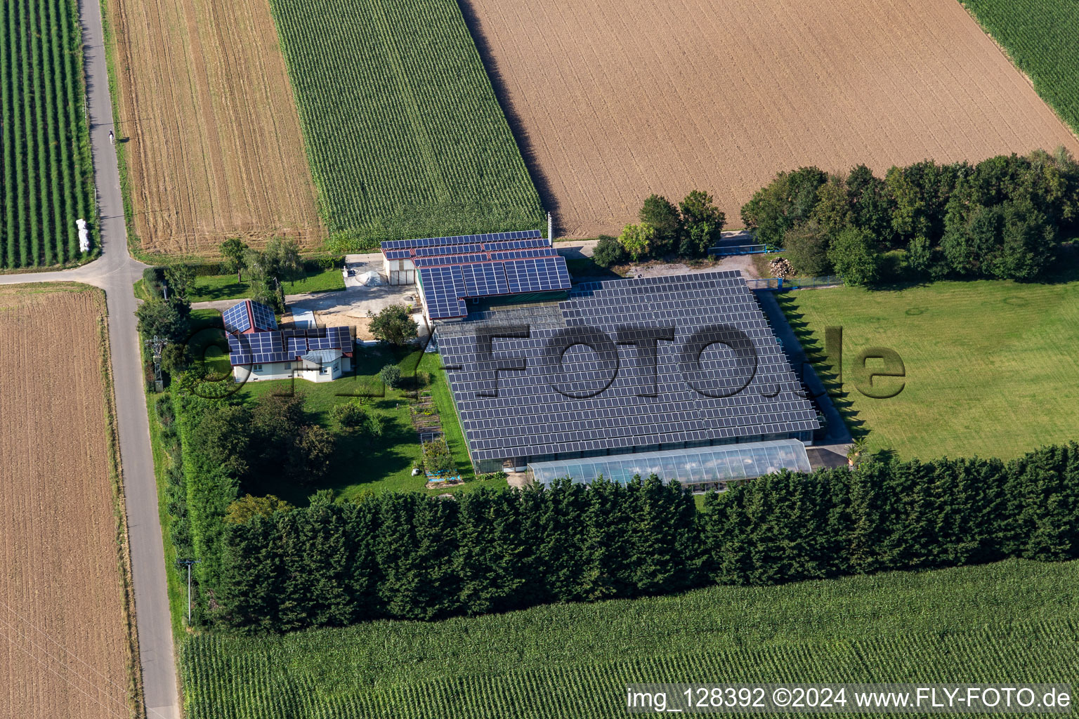 Image drone de Steinweiler dans le département Rhénanie-Palatinat, Allemagne