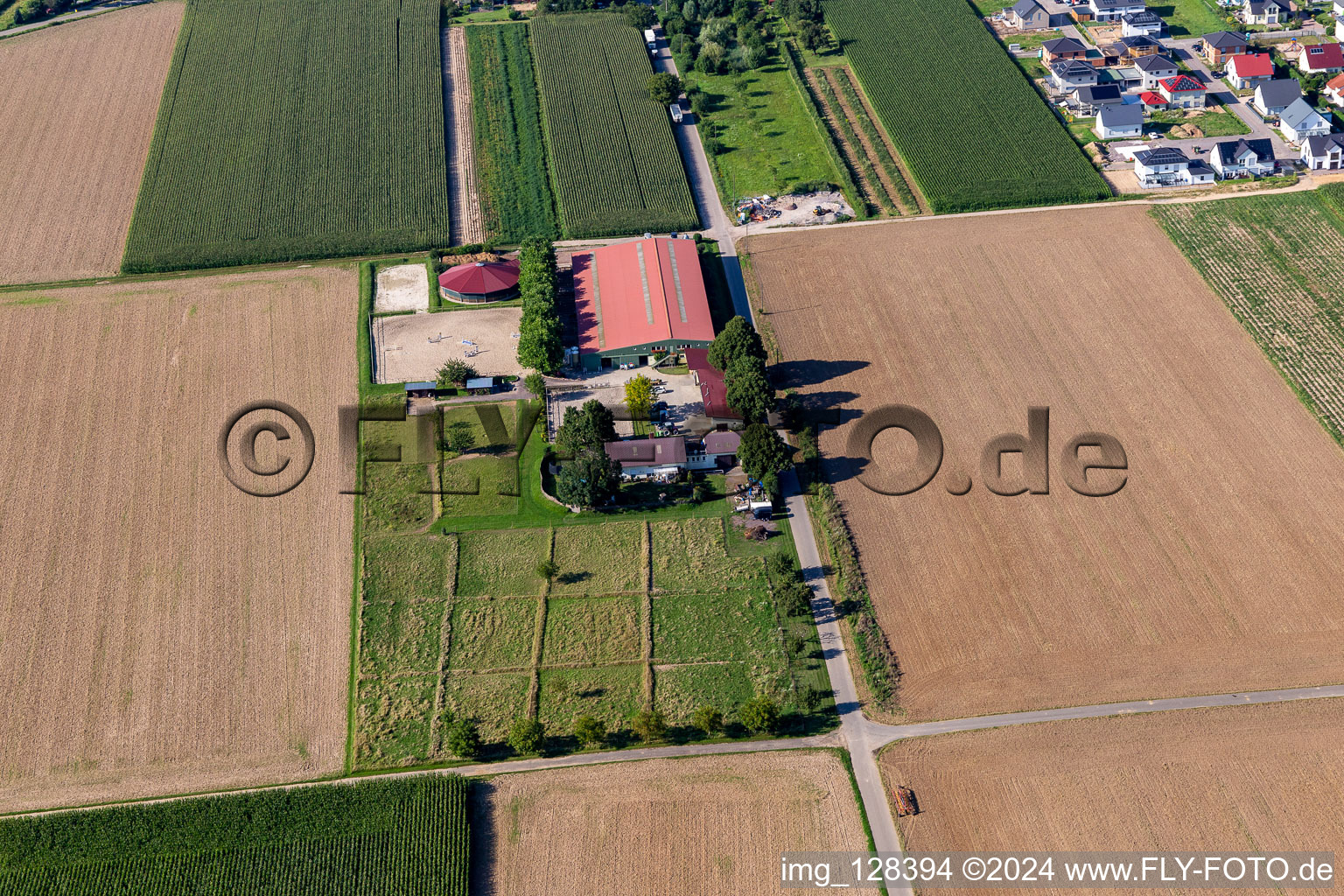 Vue aérienne de Centre équestre du Fohlenhof à Steinweiler dans le département Rhénanie-Palatinat, Allemagne