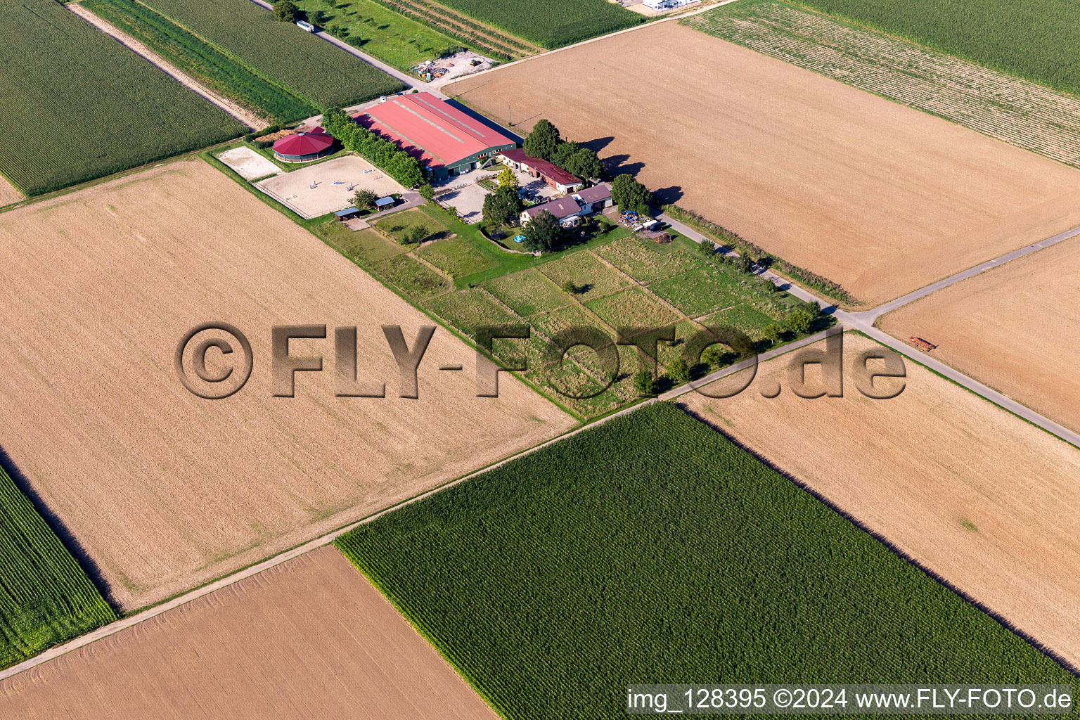 Vue aérienne de Centre équestre du Fohlenhof à Steinweiler dans le département Rhénanie-Palatinat, Allemagne