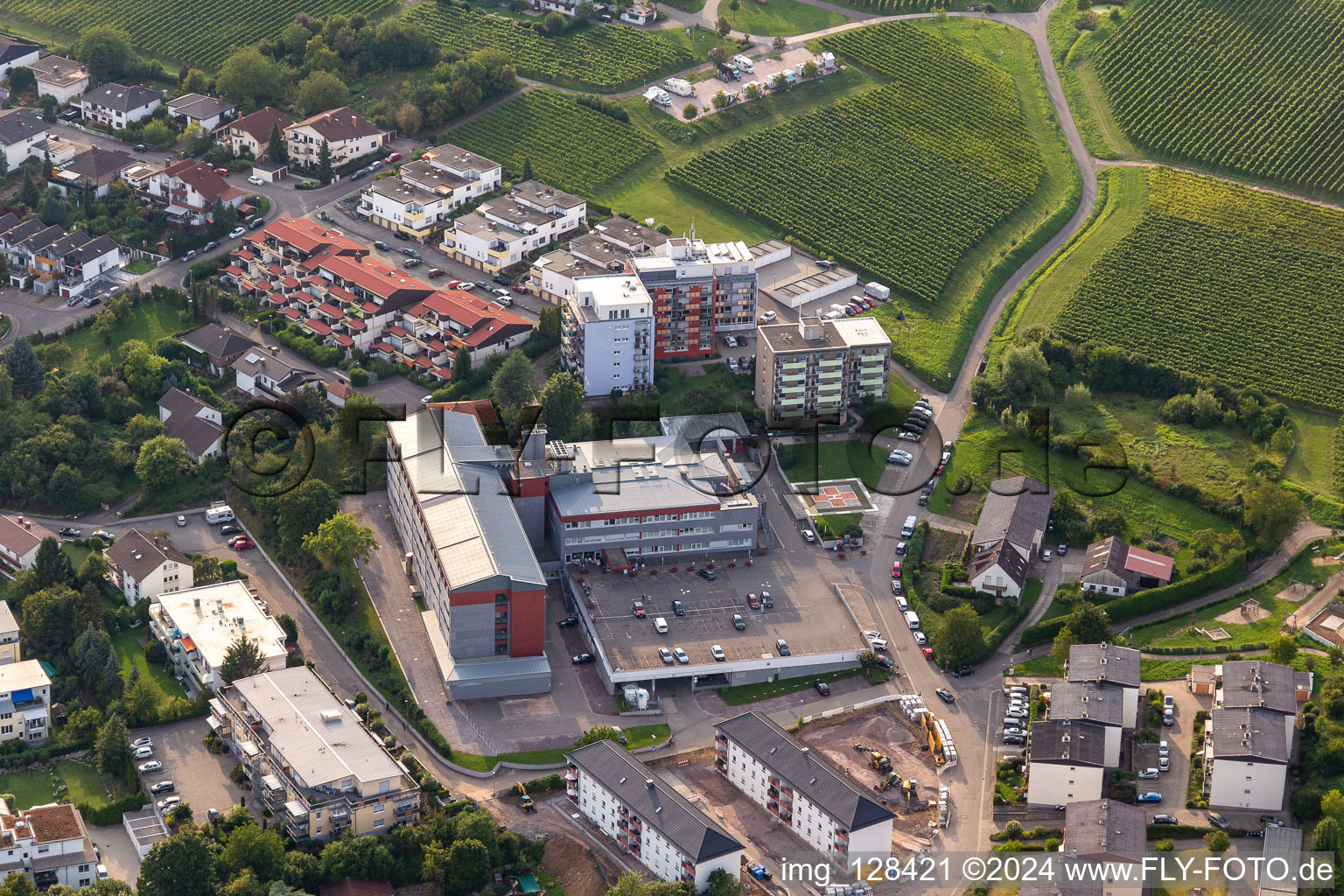 Vue aérienne de Hôpital Landau-SÜW à Bad Bergzabern dans le département Rhénanie-Palatinat, Allemagne