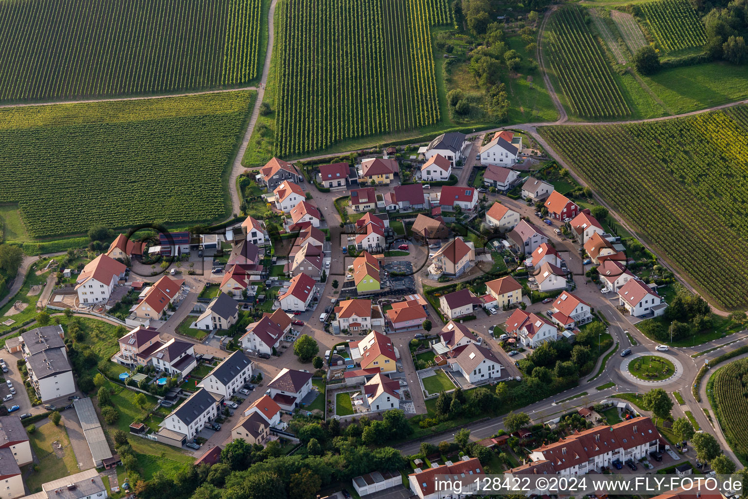 Vue aérienne de À Wingert à le quartier Pleisweiler in Bad Bergzabern dans le département Rhénanie-Palatinat, Allemagne