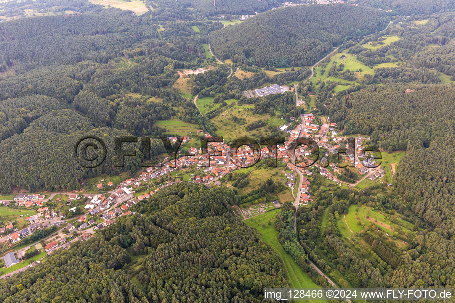 Vue d'oiseau de Schwanheim dans le département Rhénanie-Palatinat, Allemagne