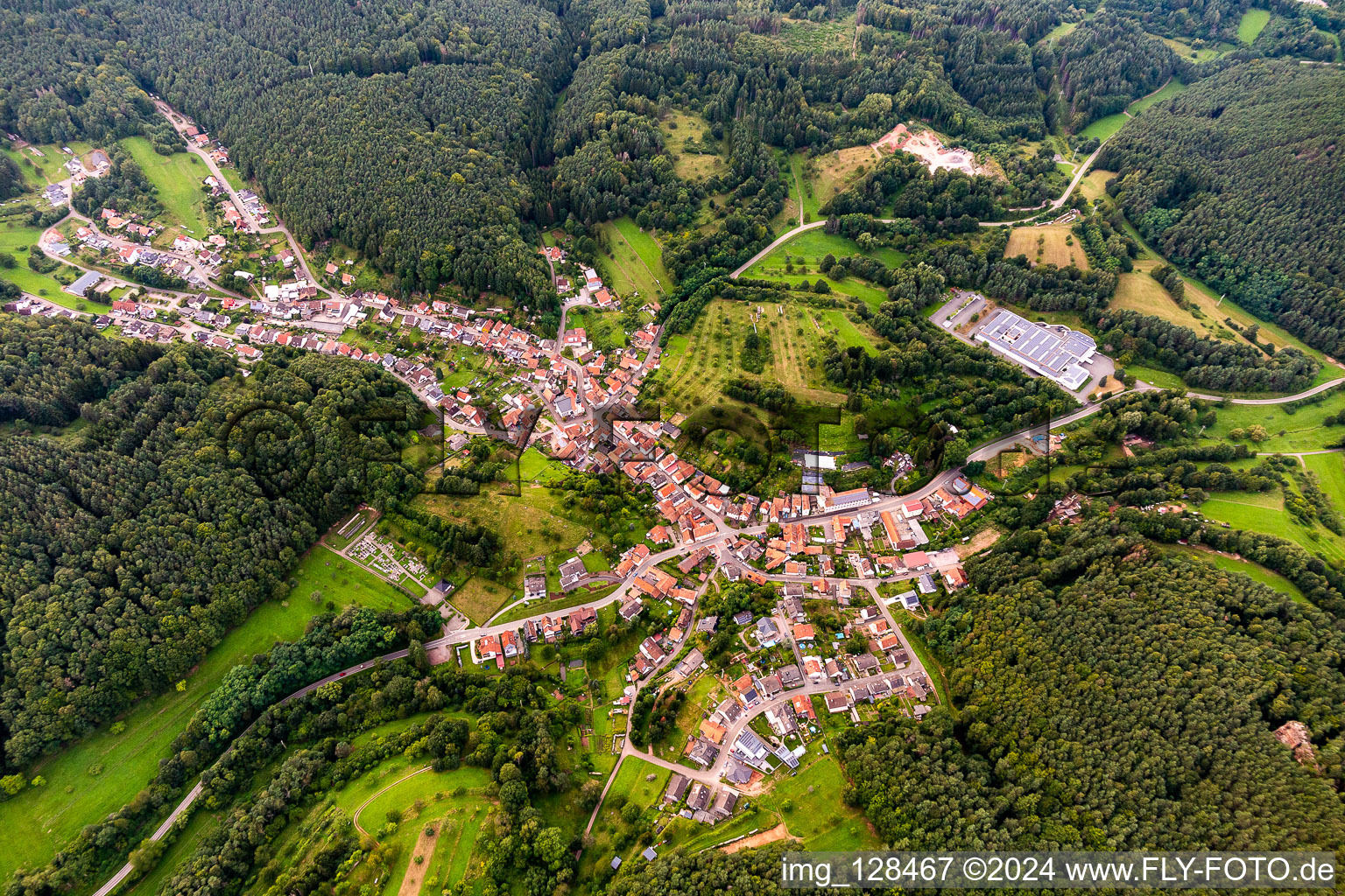 Vue aérienne de Centre-ville entouré de forêts et de zones forestières avec des rues et des maisons et des zones résidentielles à Schwanheim dans le département Rhénanie-Palatinat, Allemagne