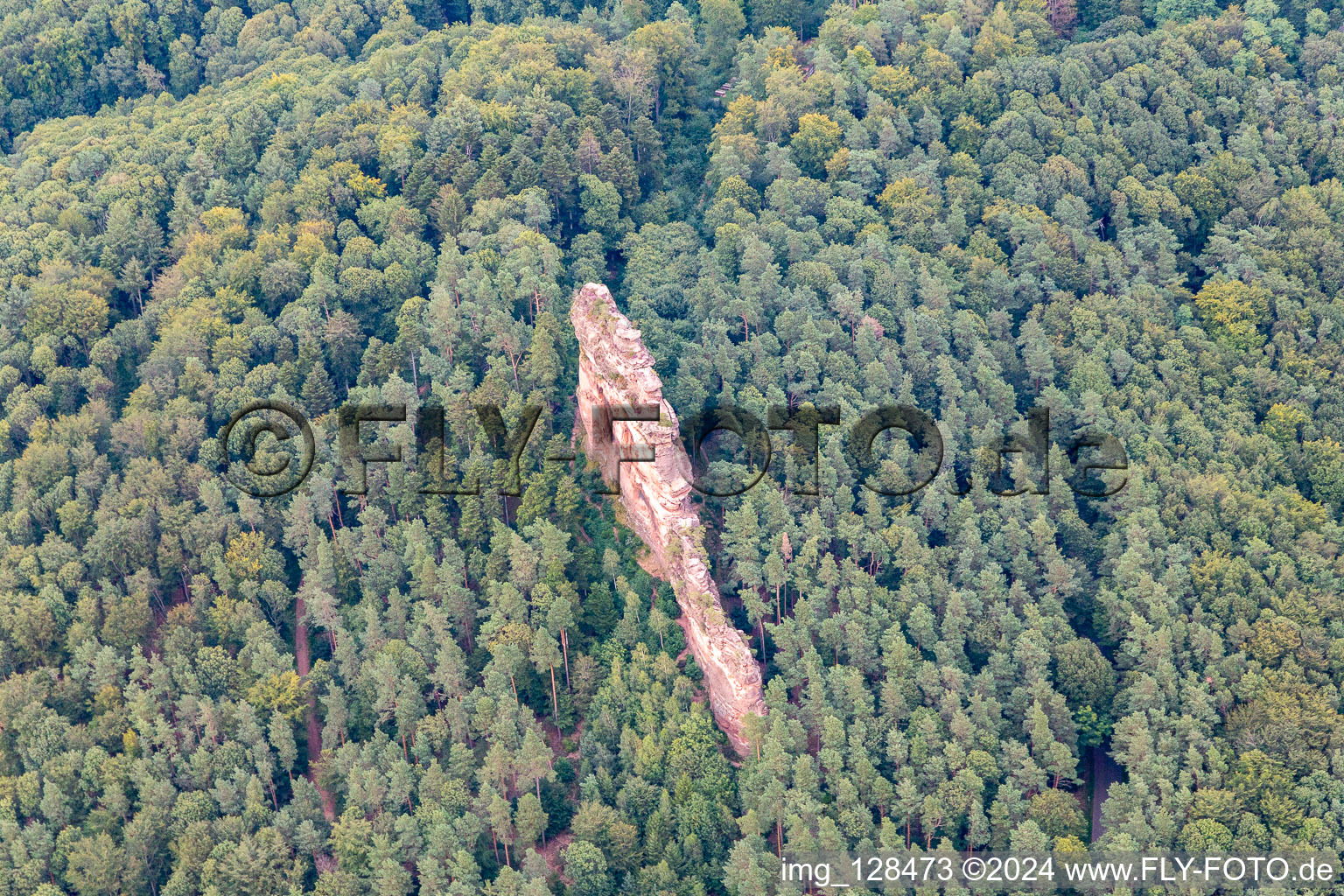 Vue aérienne de Rocher d'escalade d'Asselstein à Annweiler am Trifels dans le département Rhénanie-Palatinat, Allemagne