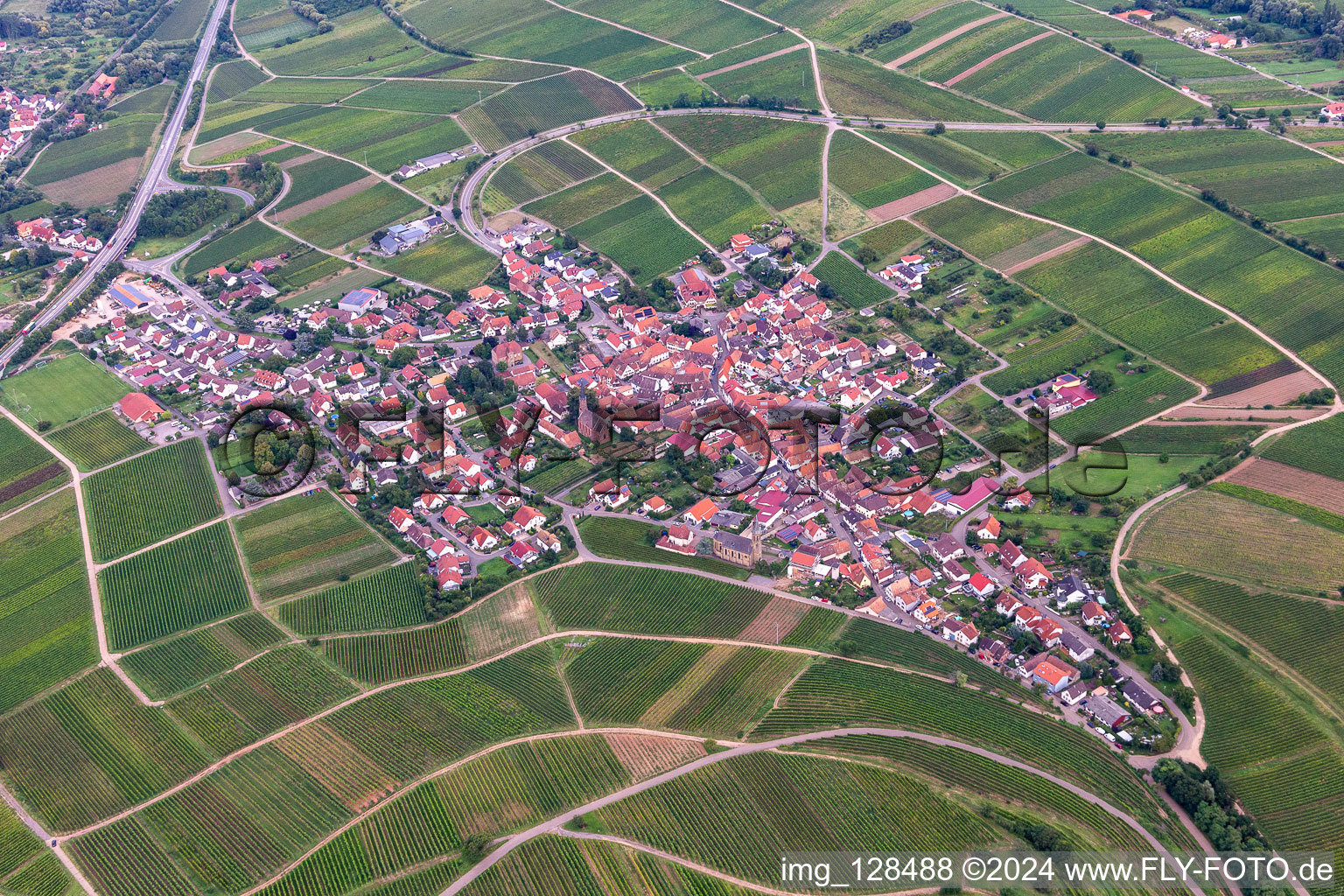 Vue oblique de Birkweiler dans le département Rhénanie-Palatinat, Allemagne