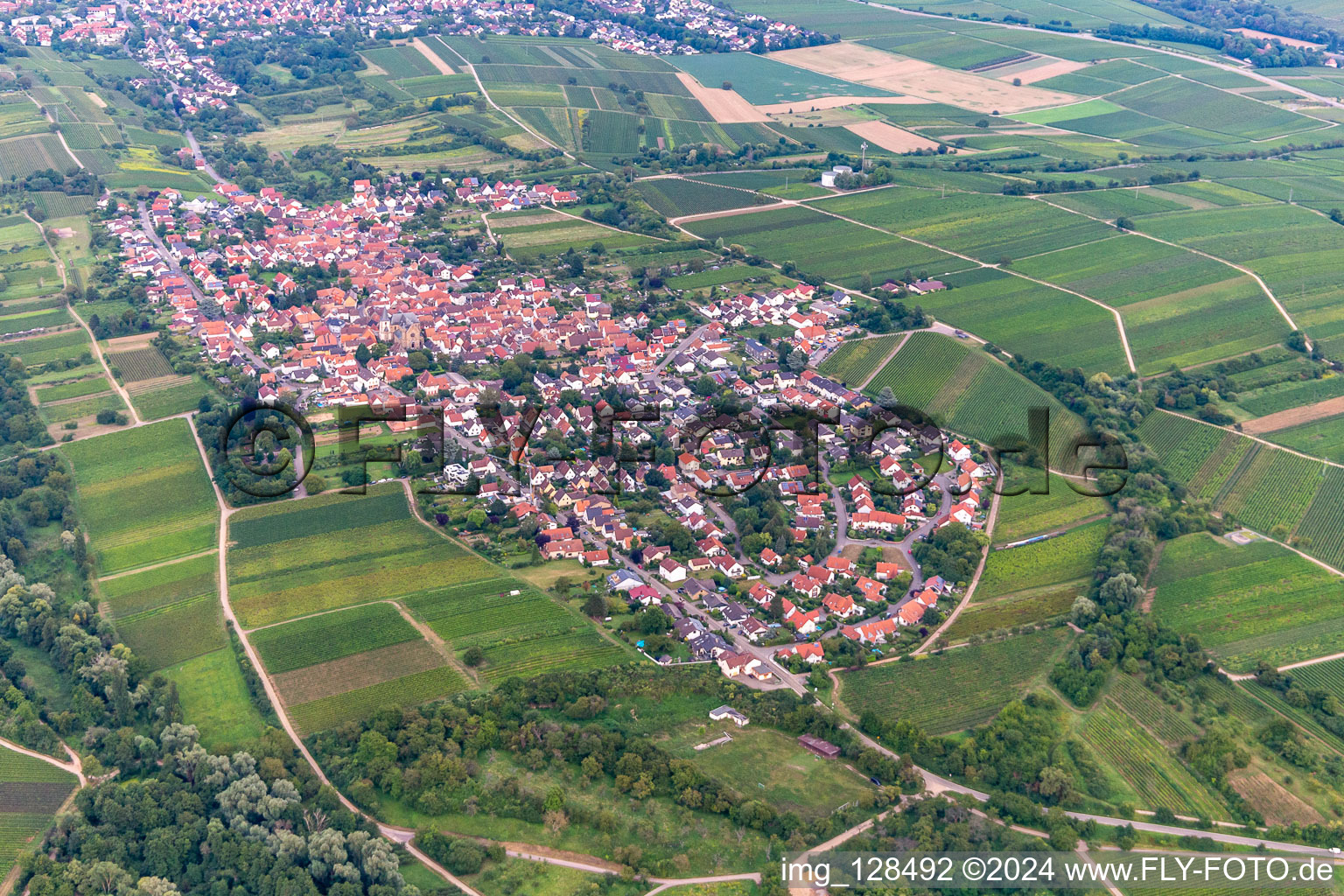 Image drone de Quartier Arzheim in Landau in der Pfalz dans le département Rhénanie-Palatinat, Allemagne