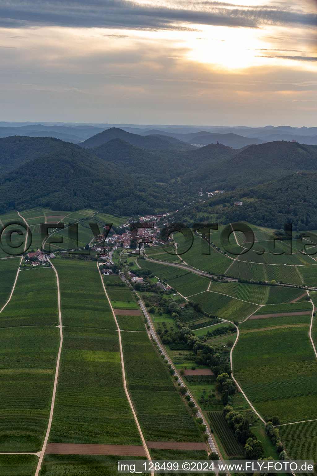 Vue oblique de Leinsweiler dans le département Rhénanie-Palatinat, Allemagne