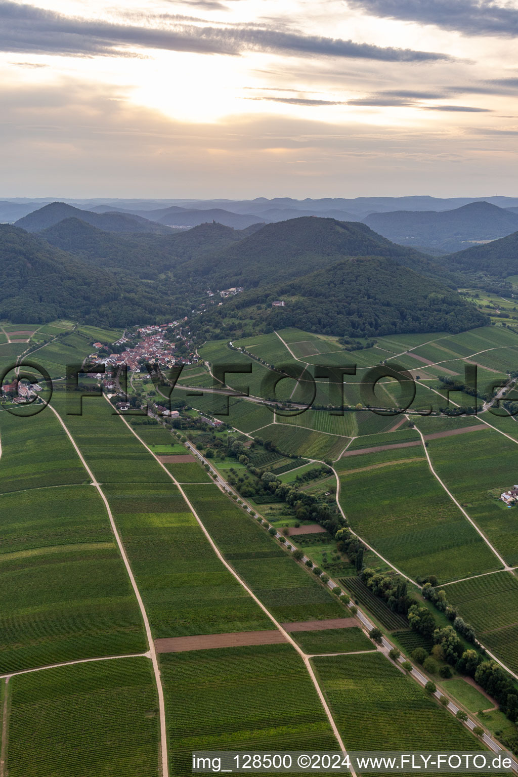 Vue aérienne de Vignoble et paysage viticole des terroirs viticoles à Leinsweiler dans le département Rhénanie-Palatinat, Allemagne