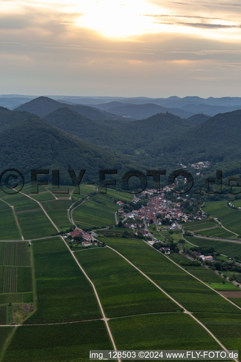 Photographie aérienne de Vignoble et paysage viticole des terroirs viticoles à Leinsweiler dans le département Rhénanie-Palatinat, Allemagne