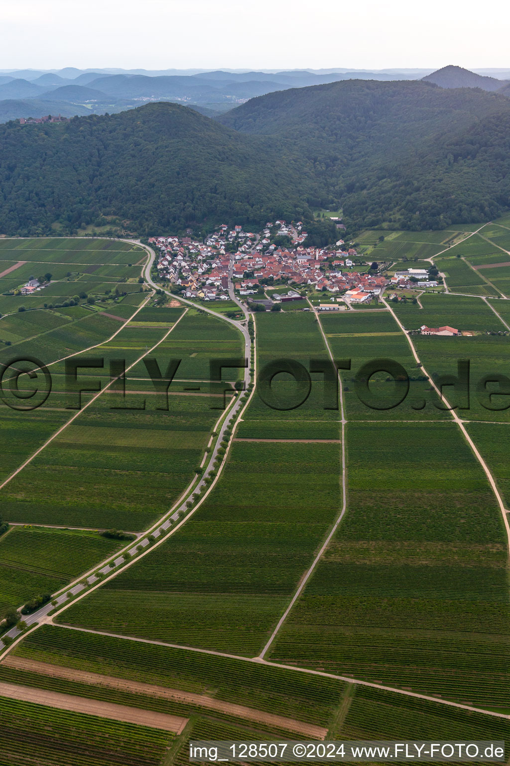 Vue aérienne de Vignoble et paysage viticole des terroirs viticoles à Eschbach dans le département Rhénanie-Palatinat, Allemagne