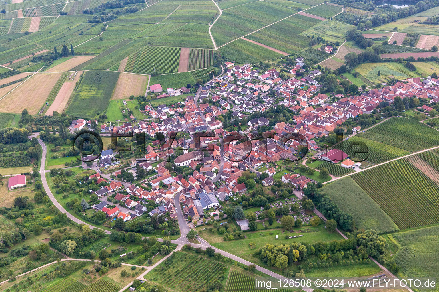 Göcklingen dans le département Rhénanie-Palatinat, Allemagne d'un drone