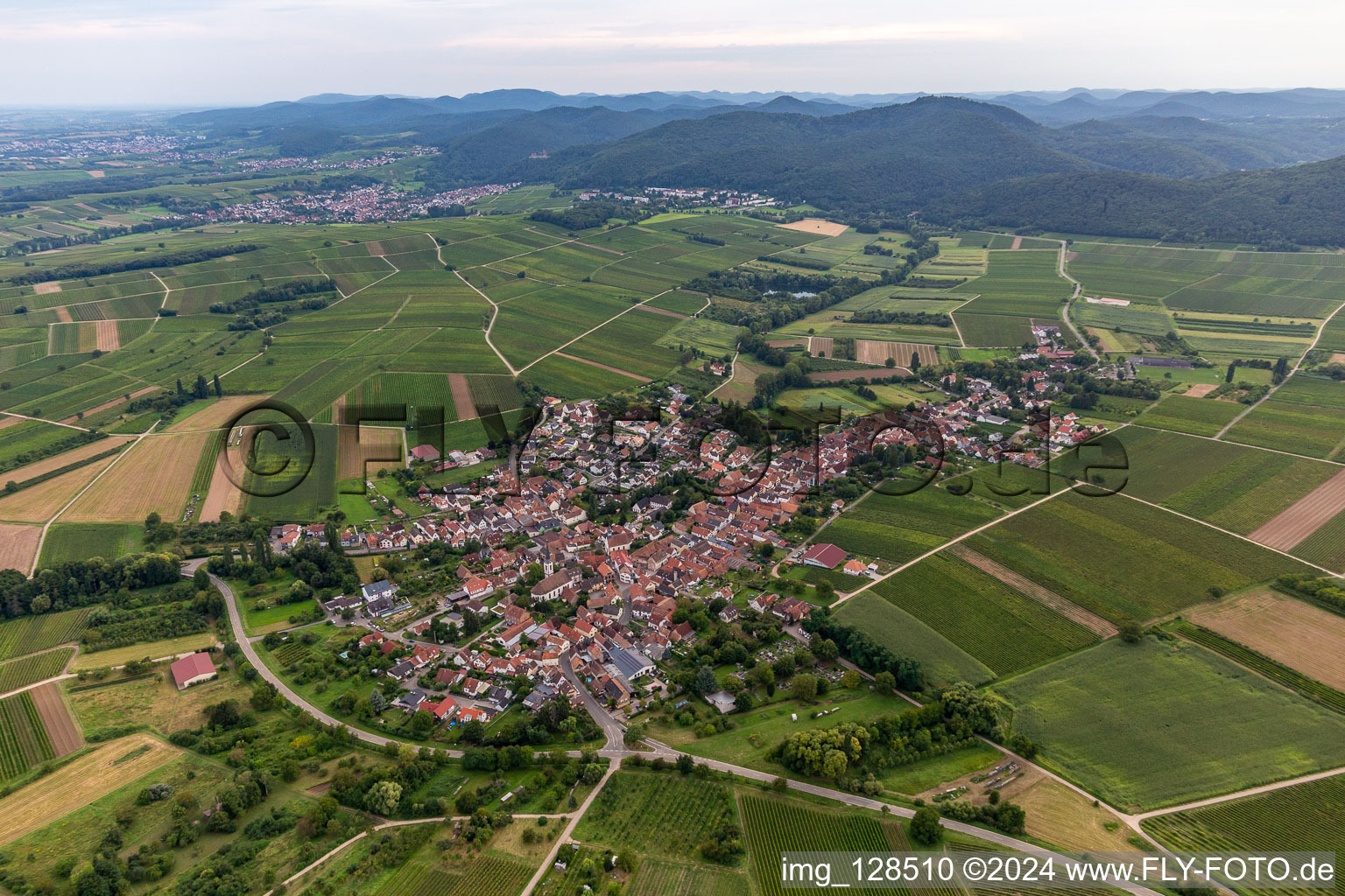 Göcklingen dans le département Rhénanie-Palatinat, Allemagne vu d'un drone