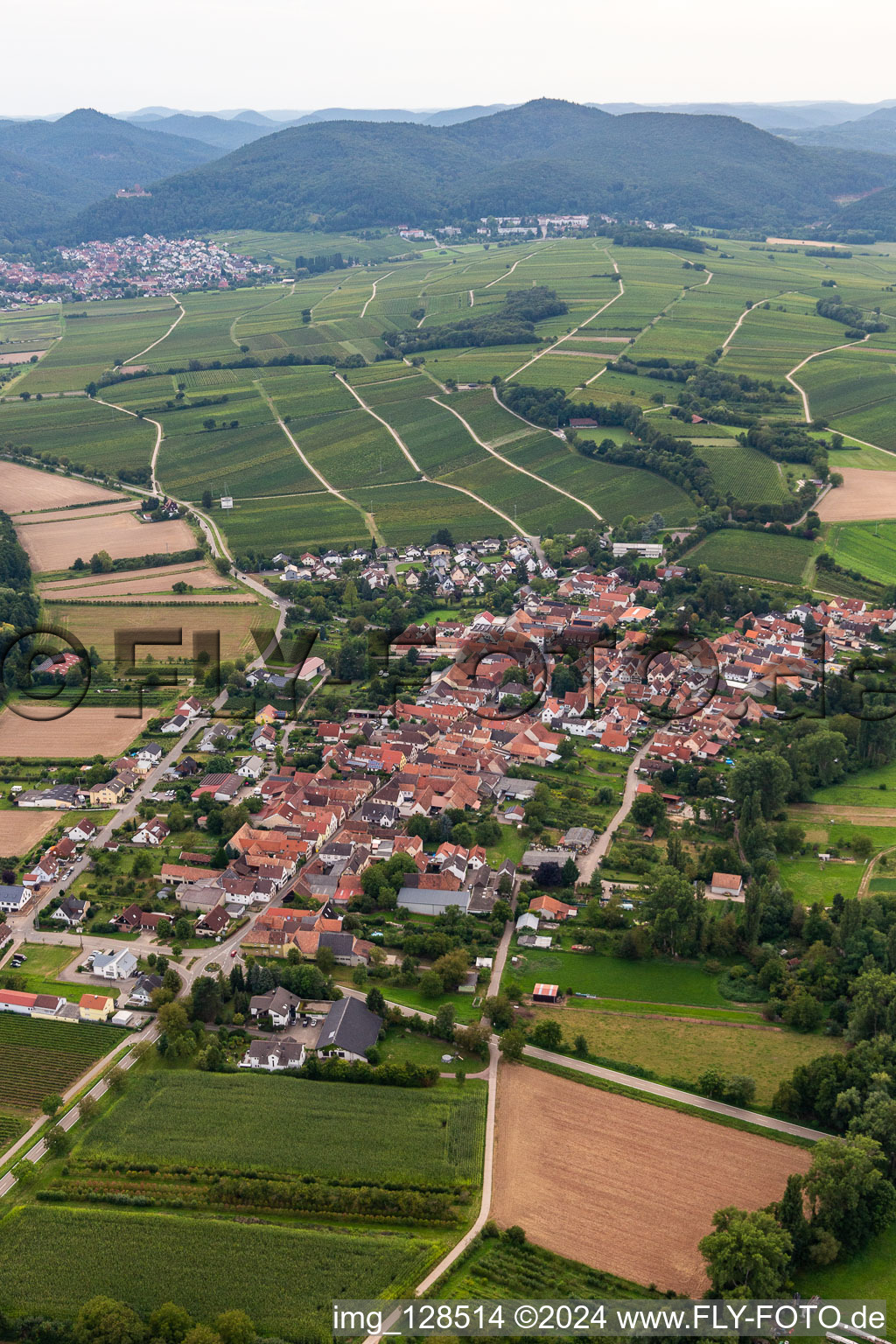 Quartier Heuchelheim in Heuchelheim-Klingen dans le département Rhénanie-Palatinat, Allemagne vu d'un drone