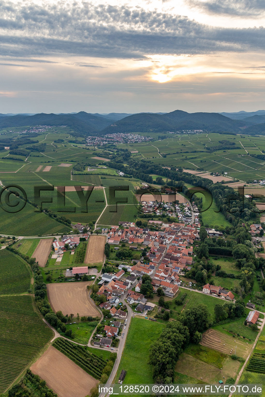 Vue aérienne de Quartier Klingen in Heuchelheim-Klingen dans le département Rhénanie-Palatinat, Allemagne