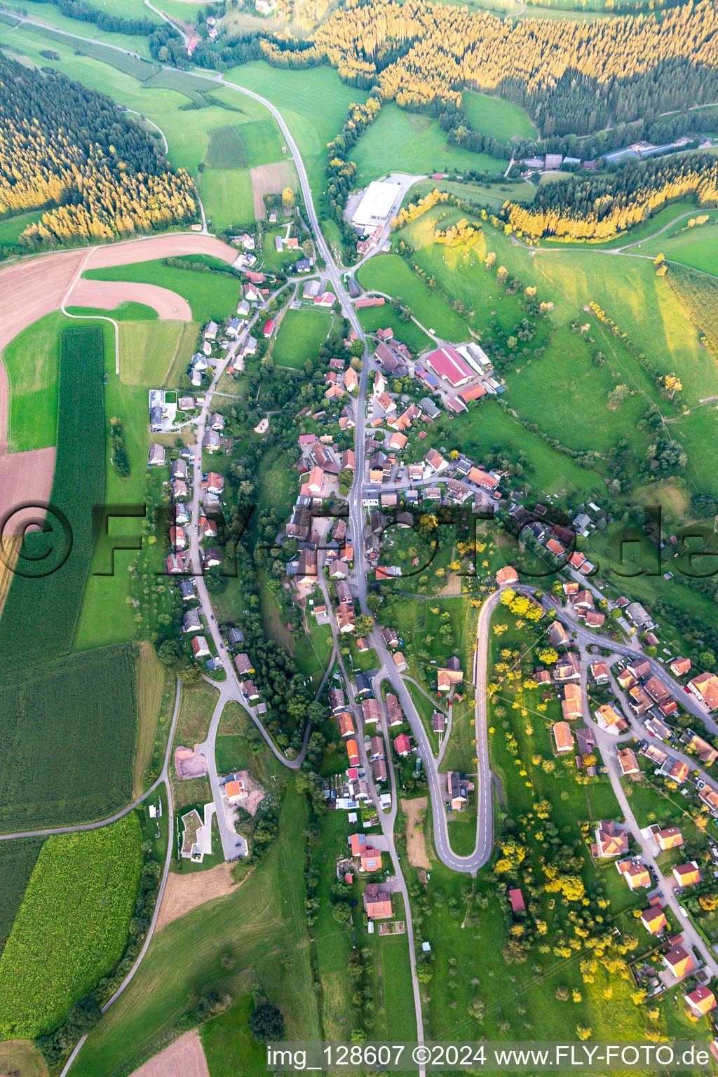 Vue aérienne de Lombach à Loßburg dans le département Bade-Wurtemberg, Allemagne