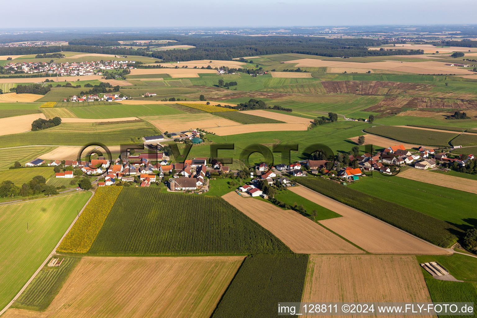 Vue aérienne de Quartier Brasenberg in Alleshausen dans le département Bade-Wurtemberg, Allemagne