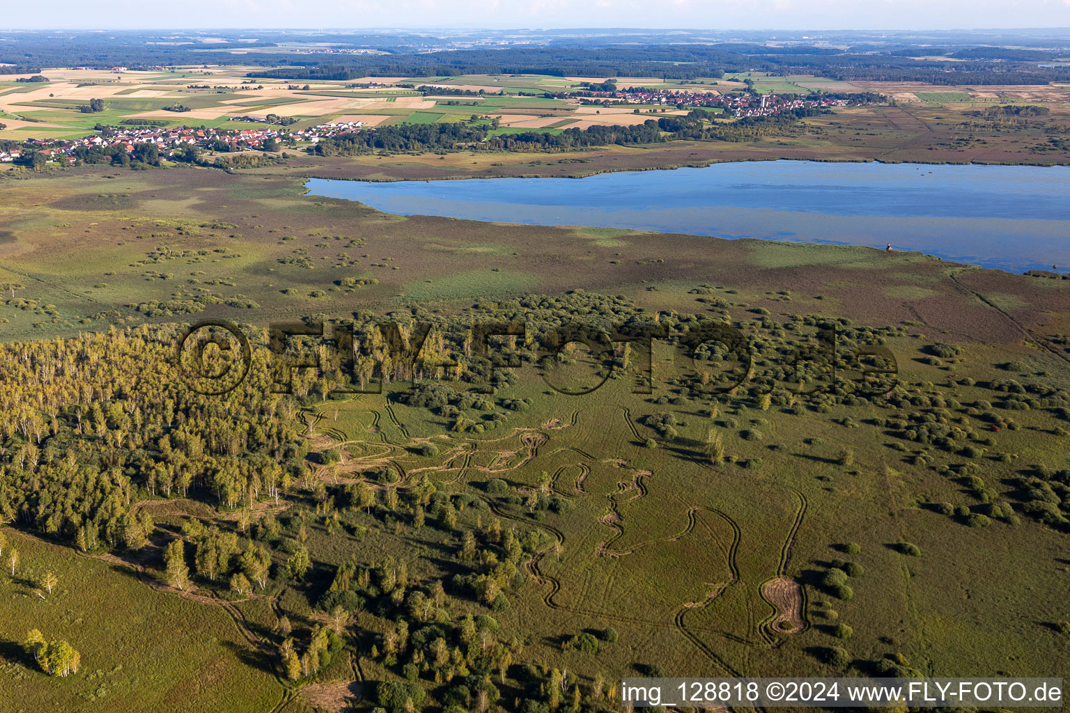 Vue aérienne de Zones riveraines de la zone du lac Federsee à Bad Buchau dans le département Bade-Wurtemberg, Allemagne