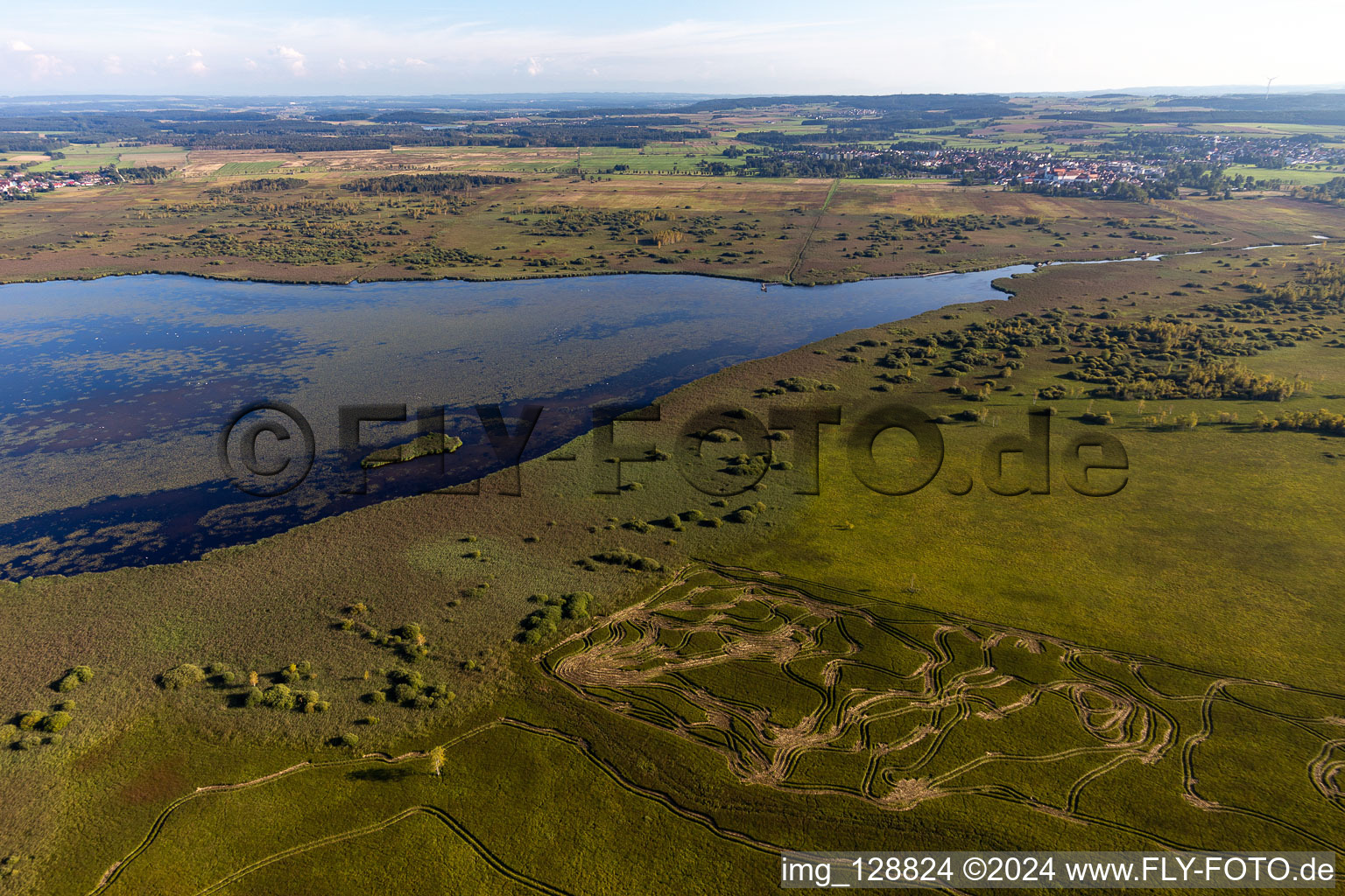 Photographie aérienne de Zones riveraines de la zone du lac Federsee à Bad Buchau dans le département Bade-Wurtemberg, Allemagne