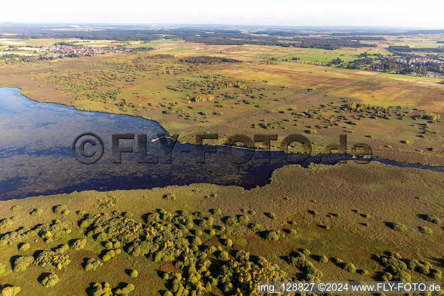 Vue oblique de Zones riveraines de la zone du lac Federsee à Bad Buchau dans le département Bade-Wurtemberg, Allemagne