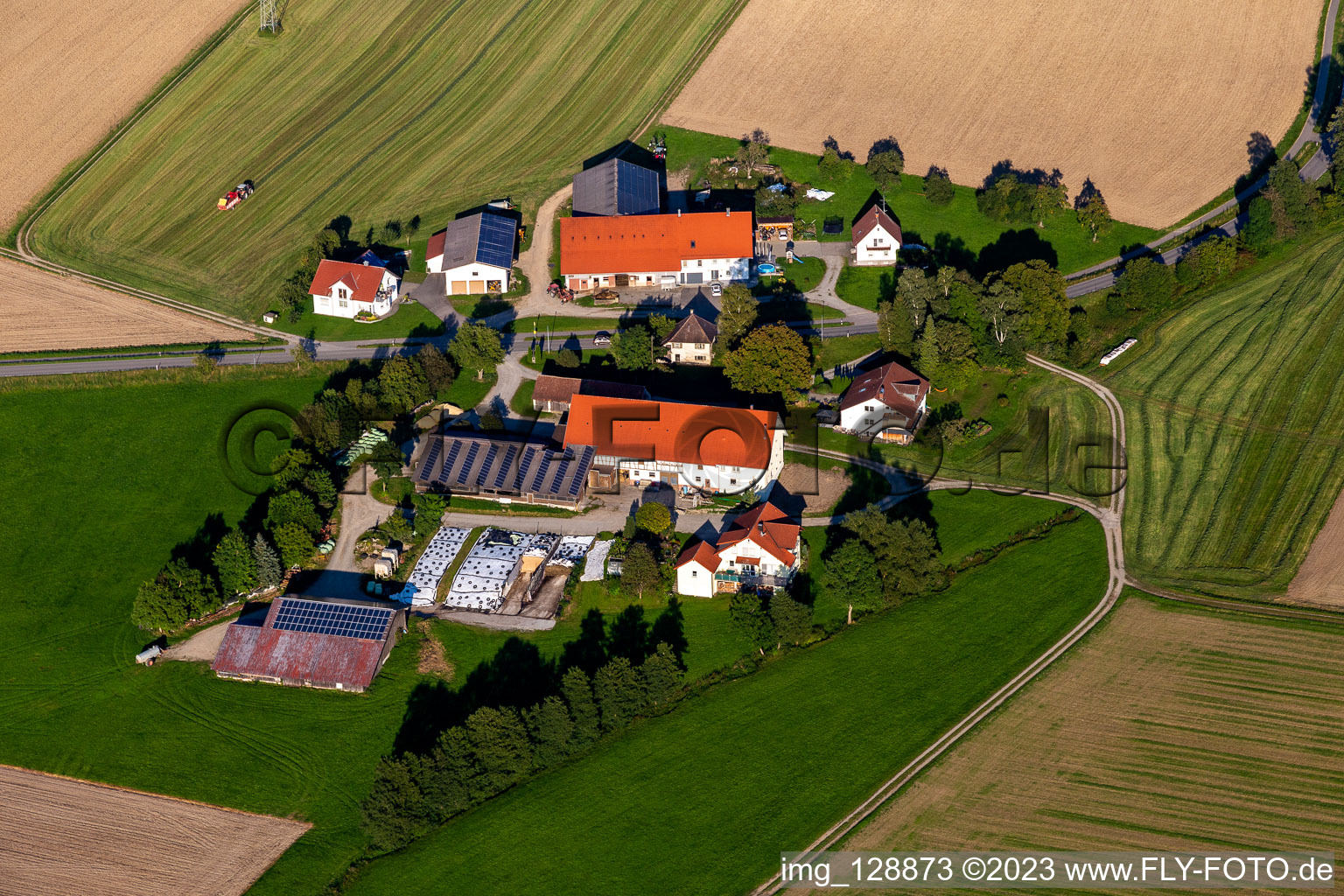 Vue aérienne de Paul Stehlé à le quartier Michelwinnaden in Bad Waldsee dans le département Bade-Wurtemberg, Allemagne