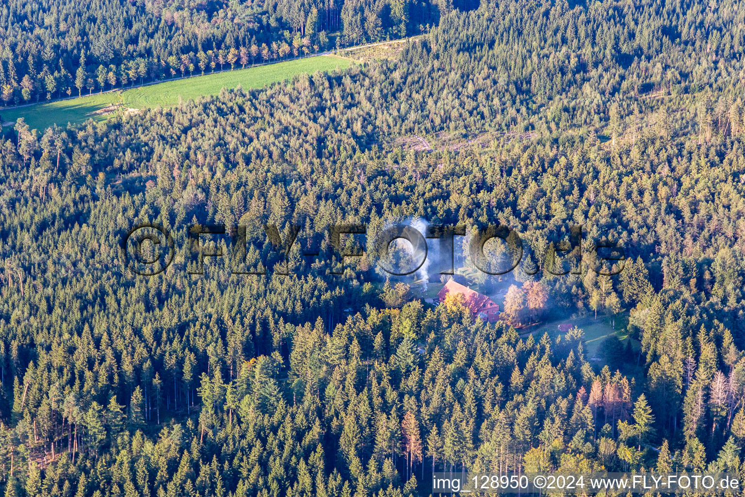 Vue aérienne de Quartier Tannweiler in Aulendorf dans le département Bade-Wurtemberg, Allemagne