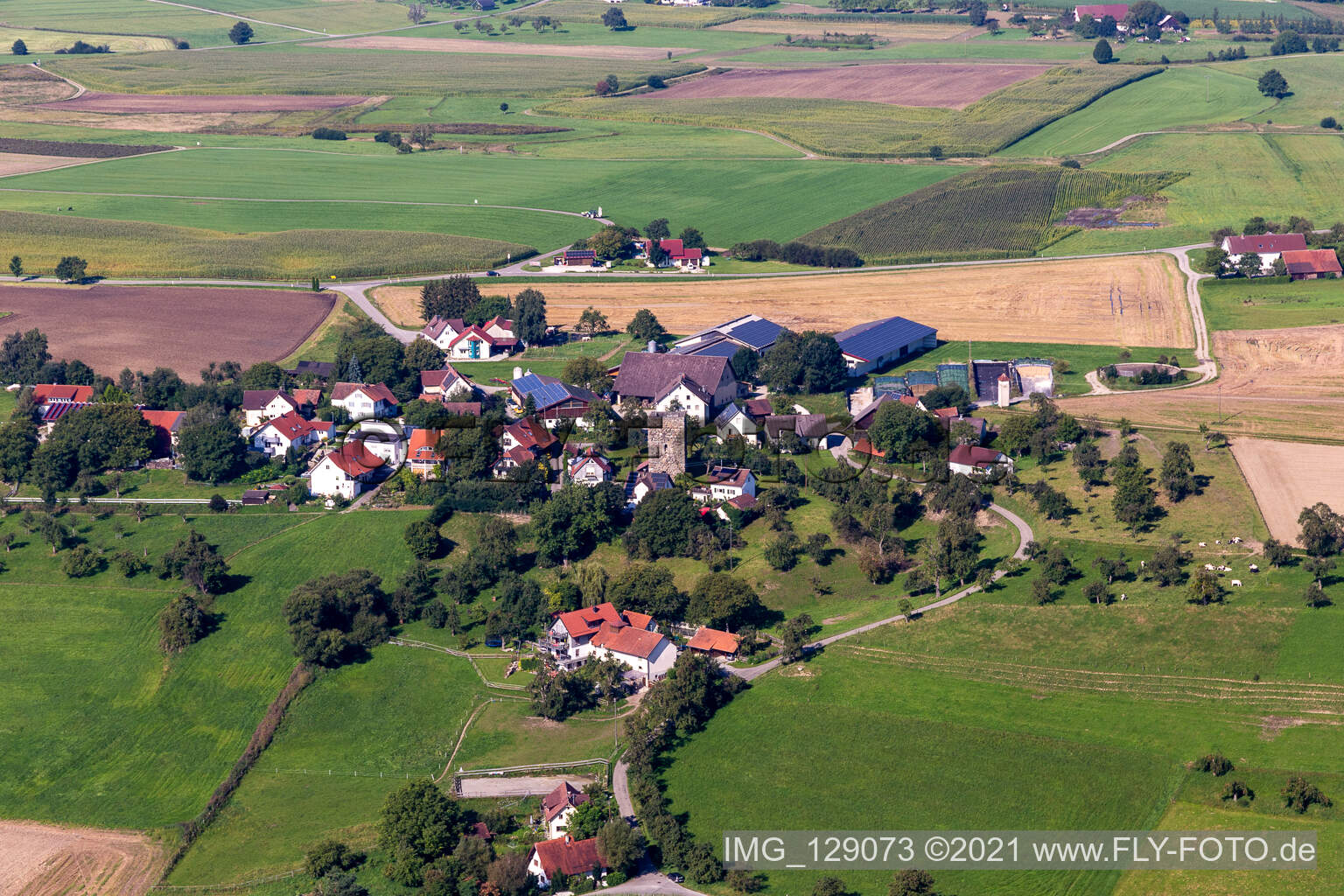 Vue aérienne de Tour d'Hatzen à Wolpertswende dans le département Bade-Wurtemberg, Allemagne