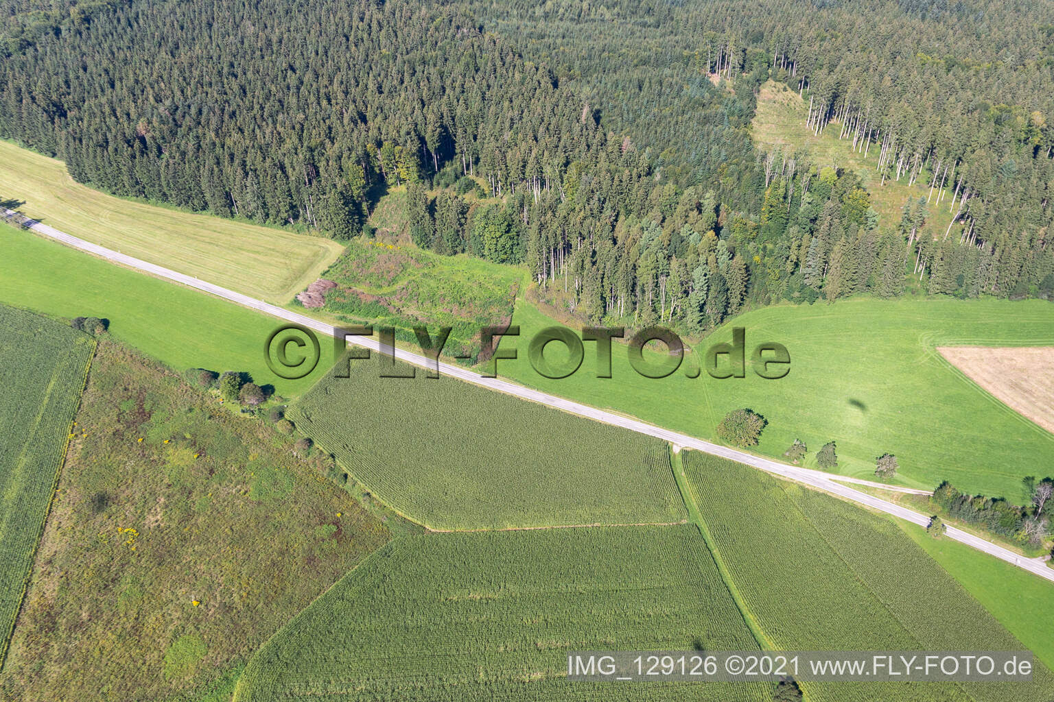 Vue aérienne de Wolfegg dans le département Bade-Wurtemberg, Allemagne
