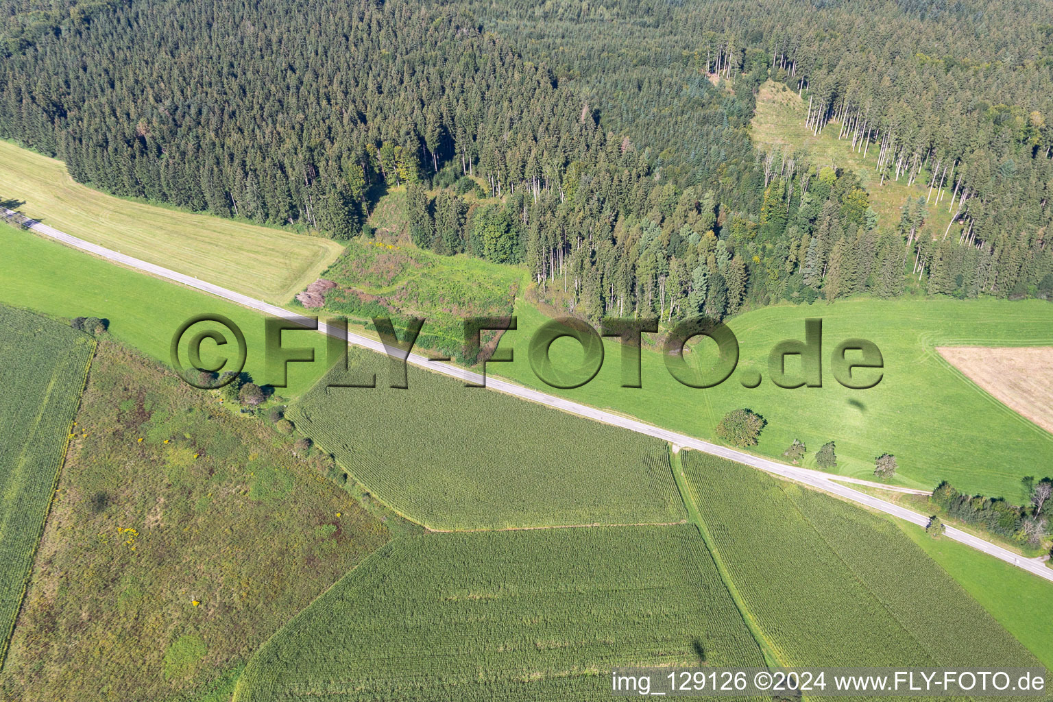 Vue aérienne de Wolfegg dans le département Bade-Wurtemberg, Allemagne