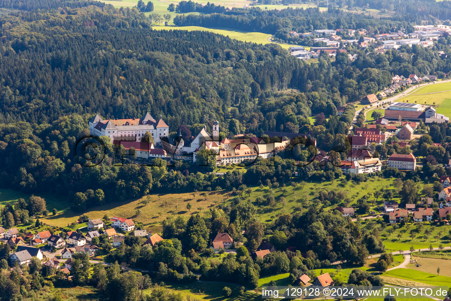 Vue aérienne de Château Renaissance Wolfegg avec église paroissiale et collégiale Sainte-Catherine à le quartier Wassers in Wolfegg dans le département Bade-Wurtemberg, Allemagne