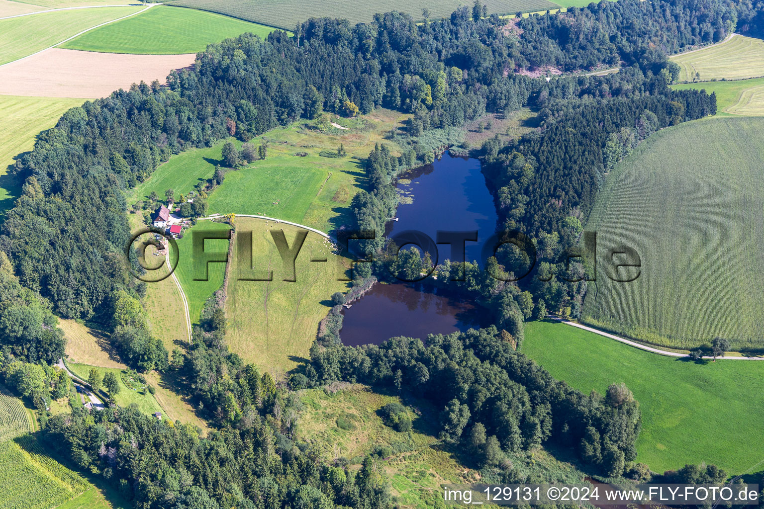 Vue aérienne de Étang des elfes à le quartier Witschwende in Bergatreute dans le département Bade-Wurtemberg, Allemagne