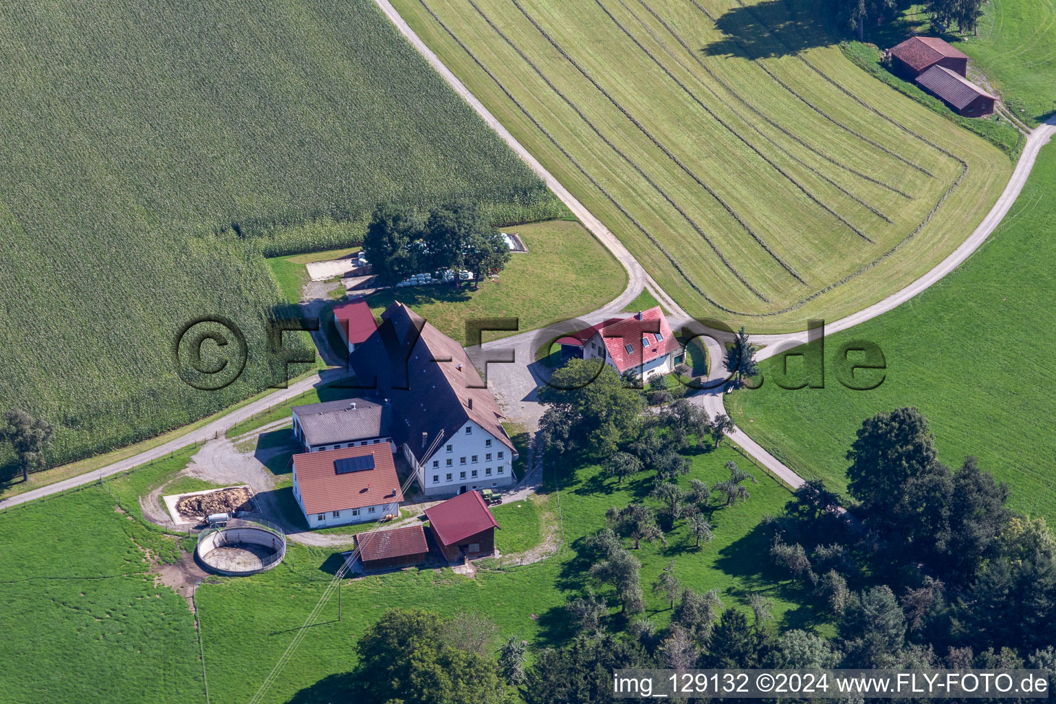 Vue aérienne de Schafhof à le quartier Witschwende in Bergatreute dans le département Bade-Wurtemberg, Allemagne