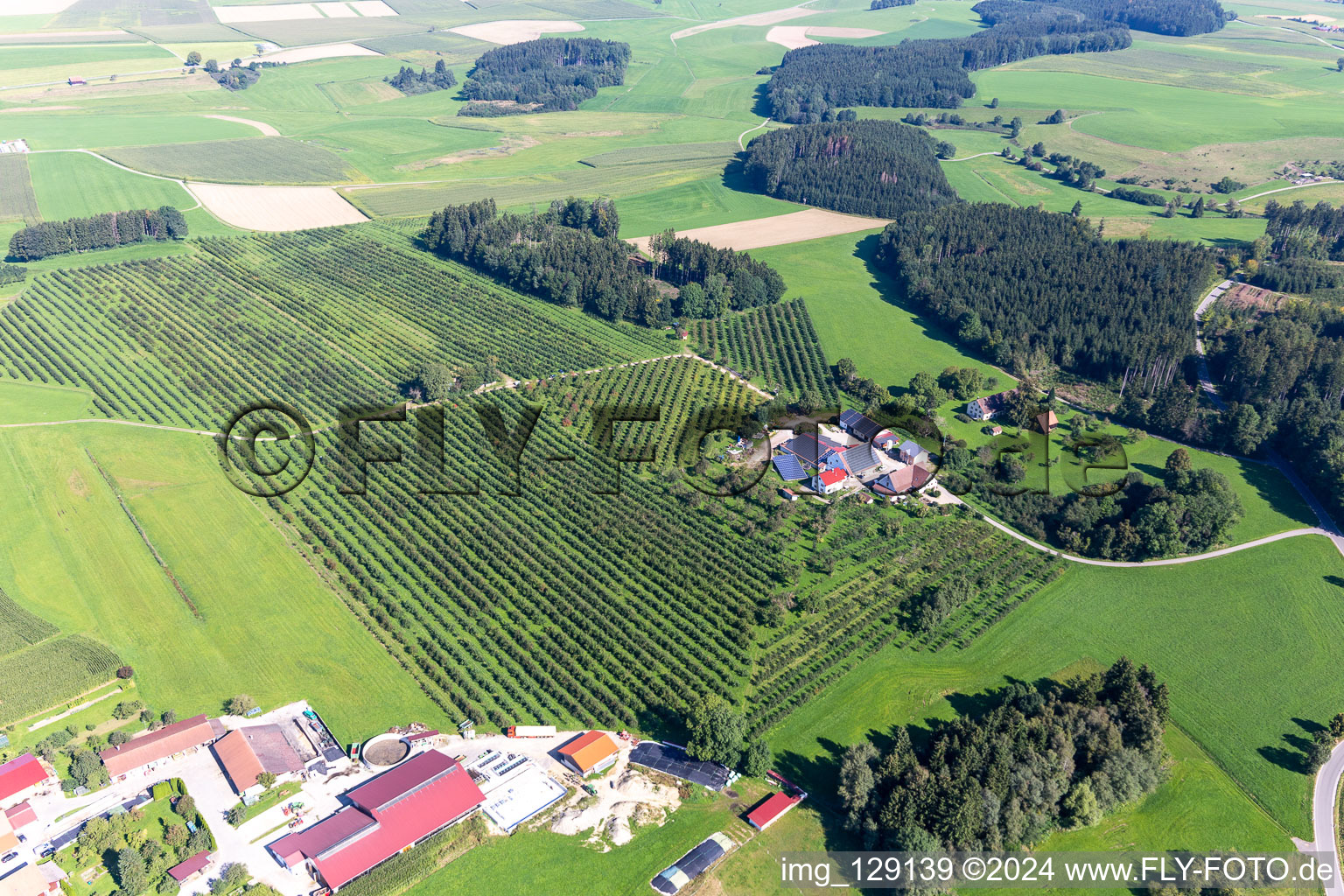 Vue aérienne de Pépinière à Oberstocken à Bergatreute dans le département Bade-Wurtemberg, Allemagne