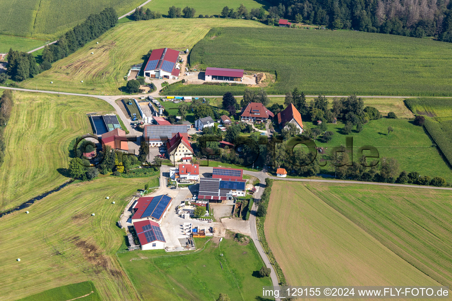 Vue aérienne de Club équestre Reue eV à le quartier Obermöllenbronn in Bad Waldsee dans le département Bade-Wurtemberg, Allemagne