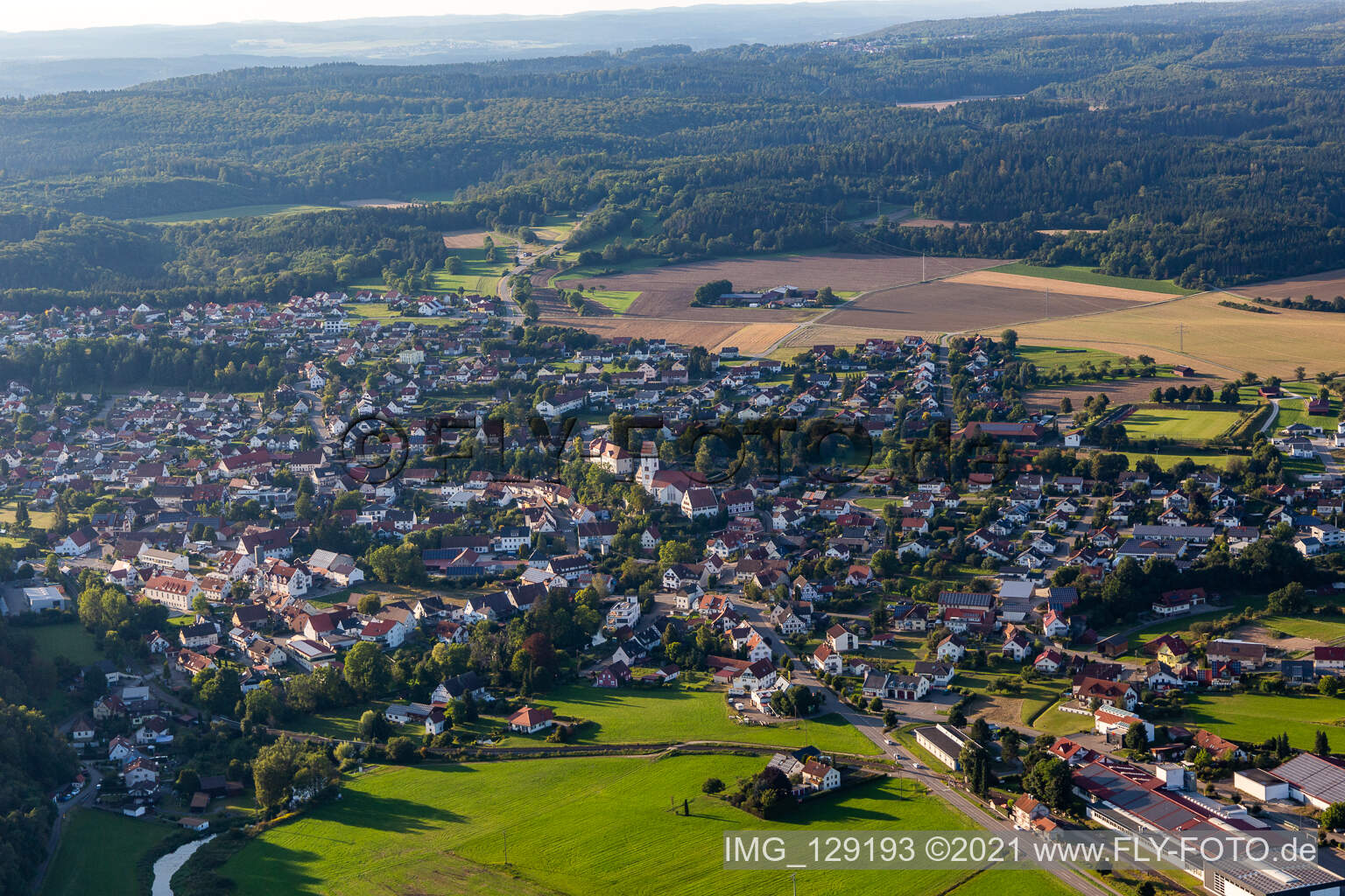 Vue aérienne de Bingen dans le département Bade-Wurtemberg, Allemagne