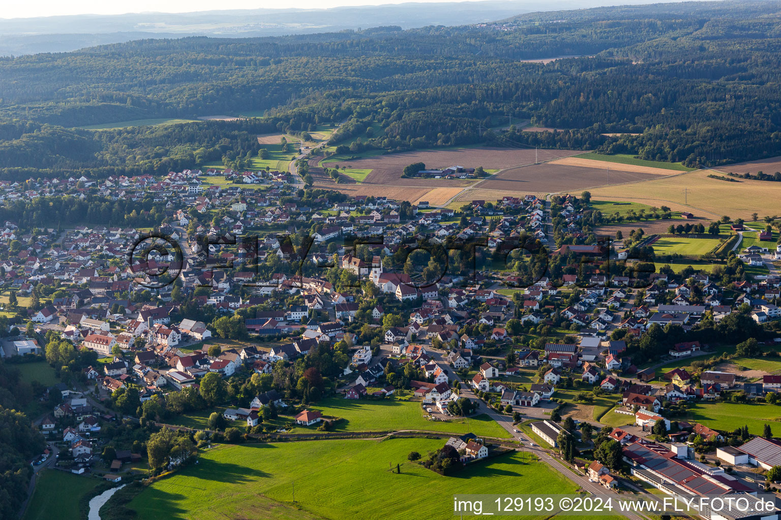 Vue aérienne de Bingen dans le département Bade-Wurtemberg, Allemagne