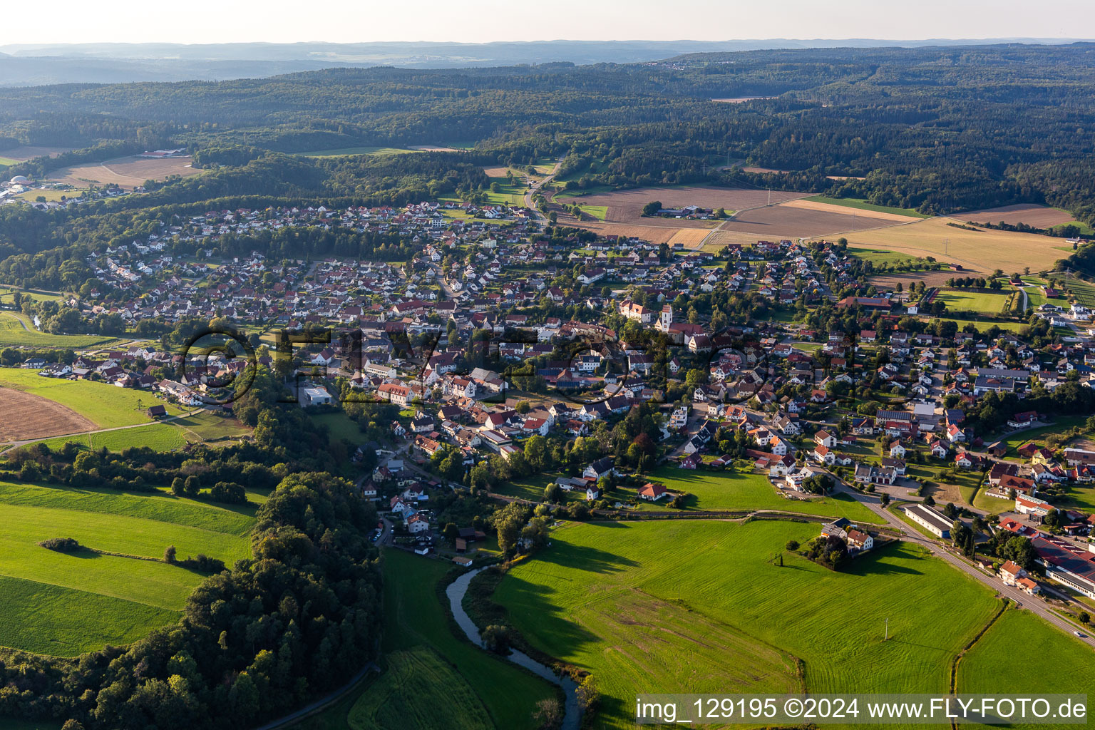 Vue aérienne de Bingen dans le département Bade-Wurtemberg, Allemagne