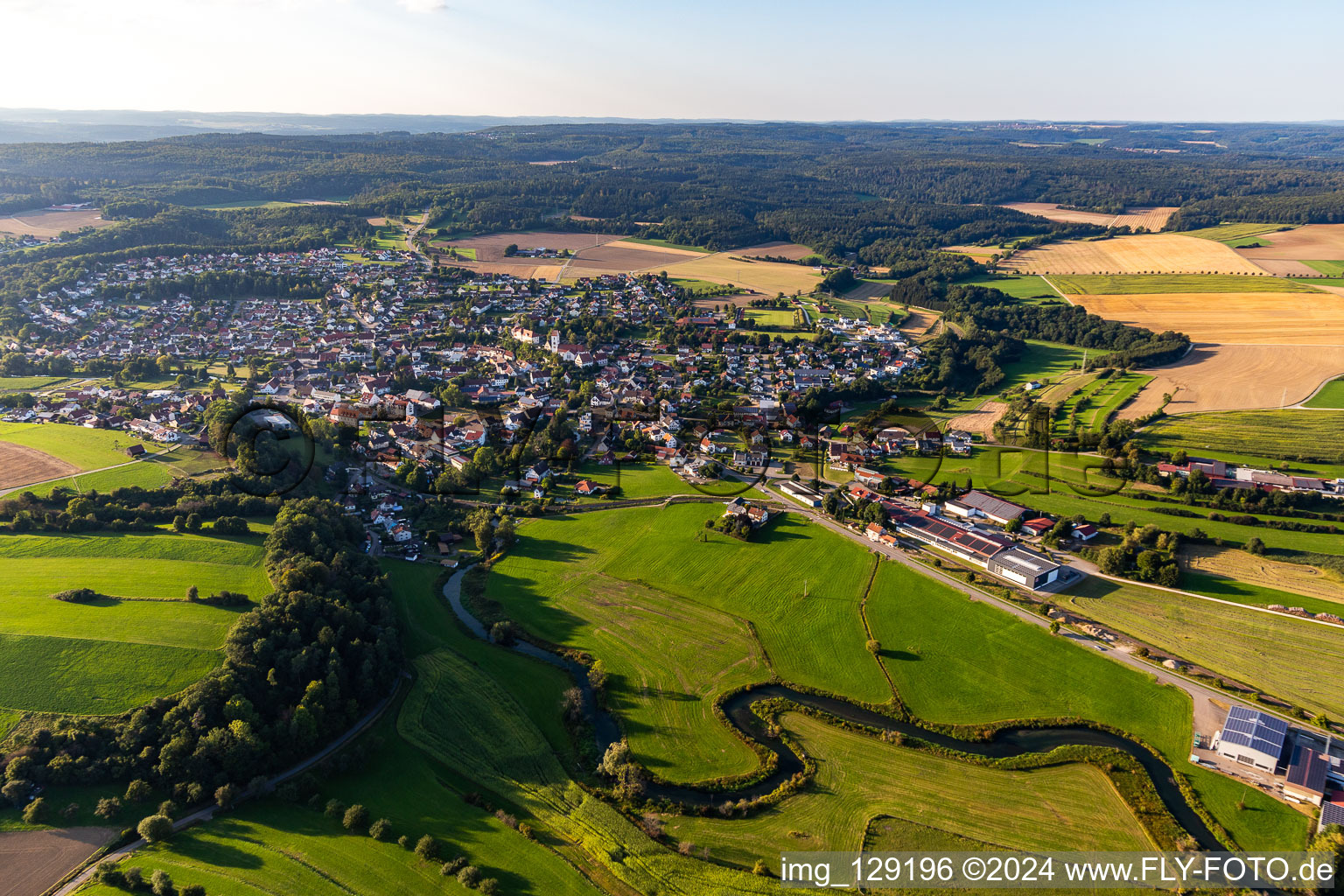 Photographie aérienne de Bingen dans le département Bade-Wurtemberg, Allemagne