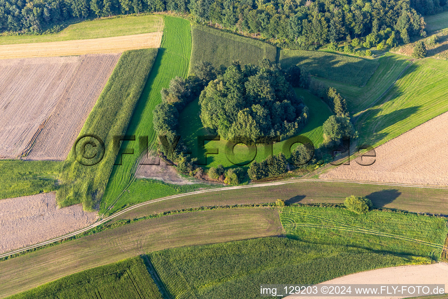 Vue aérienne de Île forestière à le quartier Heudorf in Scheer dans le département Bade-Wurtemberg, Allemagne