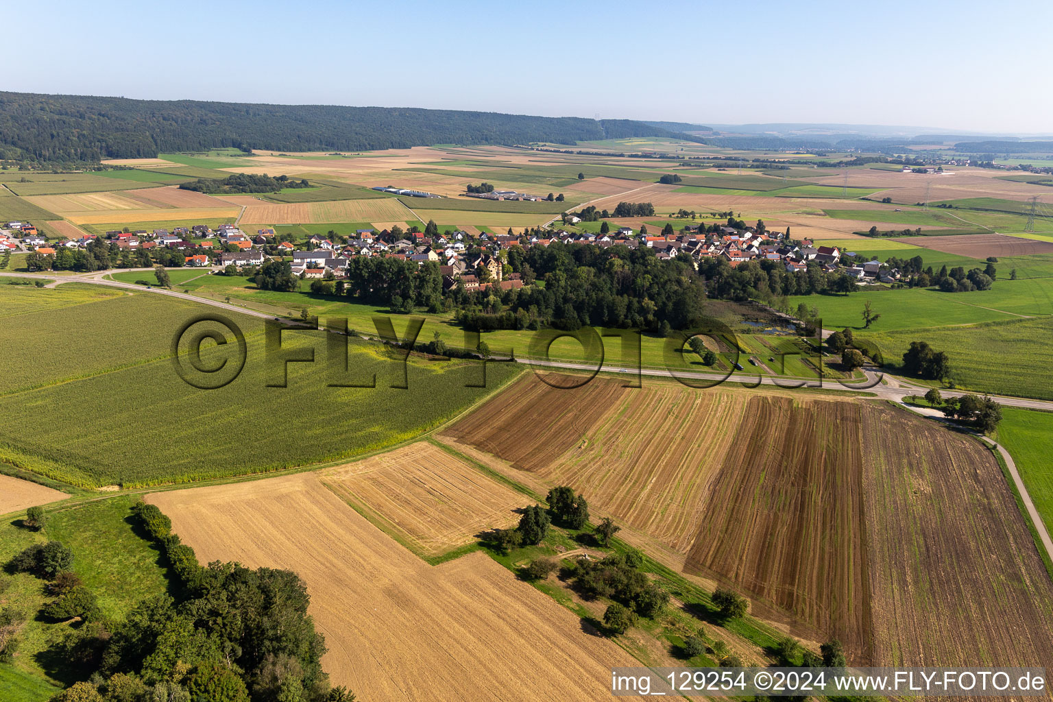 Vue oblique de Riedlingen dans le département Bade-Wurtemberg, Allemagne