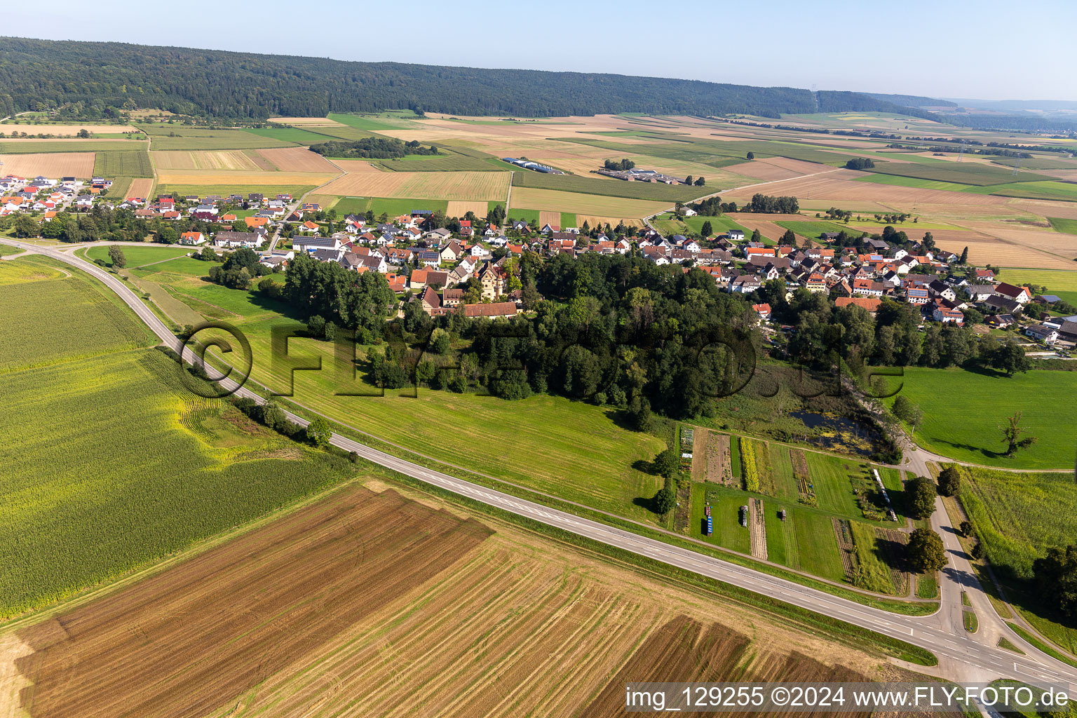 Vue aérienne de Quartier Grüningen in Riedlingen dans le département Bade-Wurtemberg, Allemagne