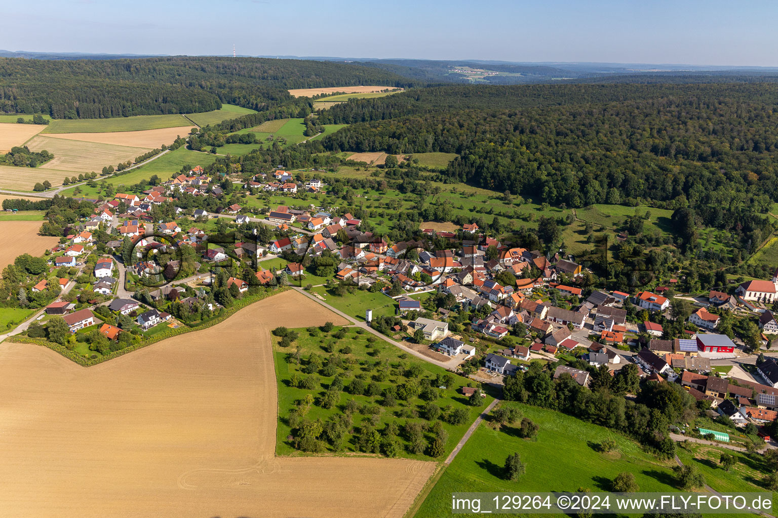 Photographie aérienne de Quartier Pflummern in Riedlingen dans le département Bade-Wurtemberg, Allemagne