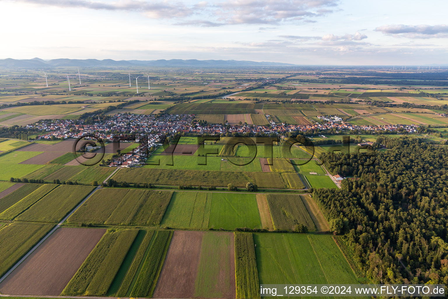 Freckenfeld dans le département Rhénanie-Palatinat, Allemagne vue d'en haut