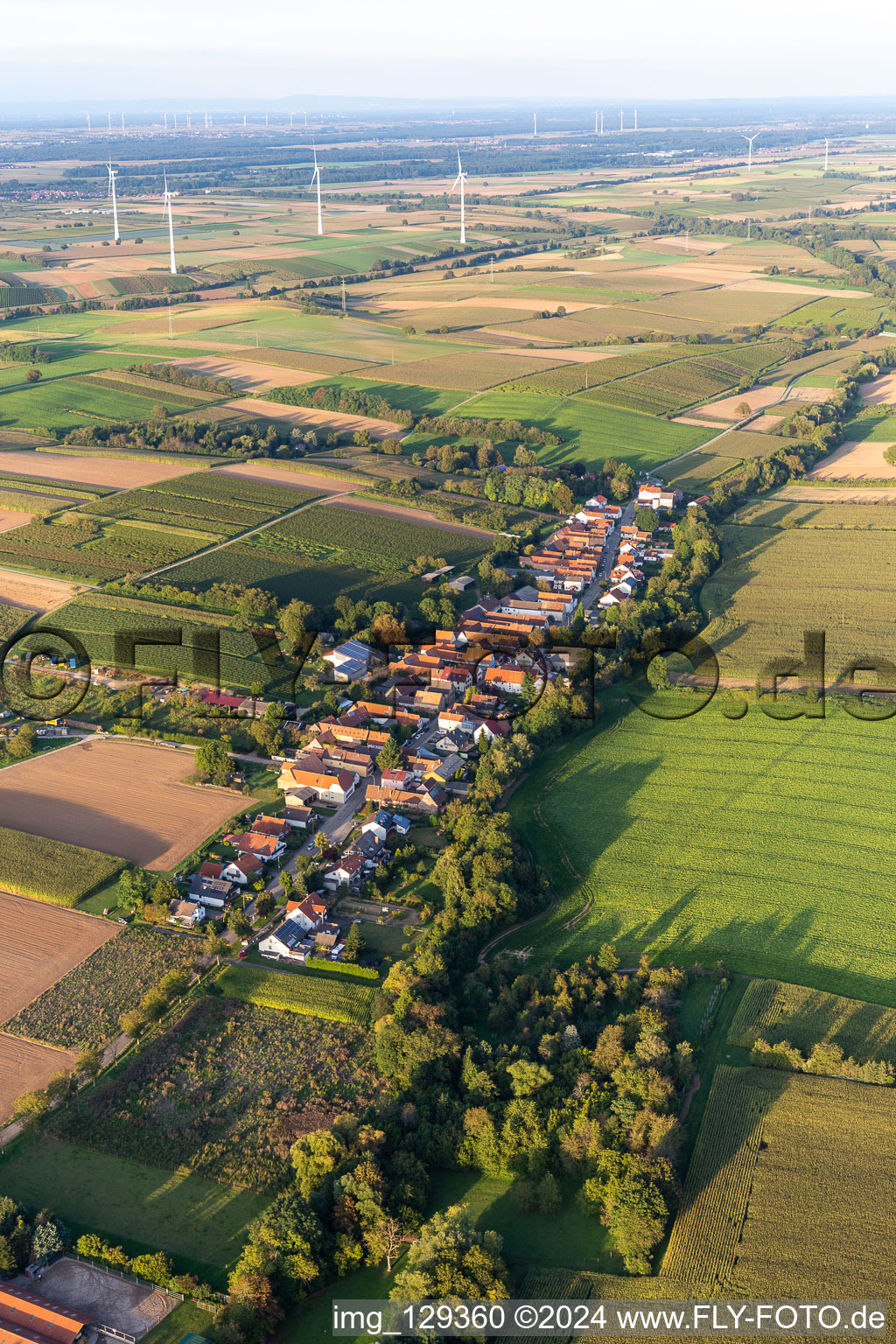 Vue d'oiseau de Vollmersweiler dans le département Rhénanie-Palatinat, Allemagne