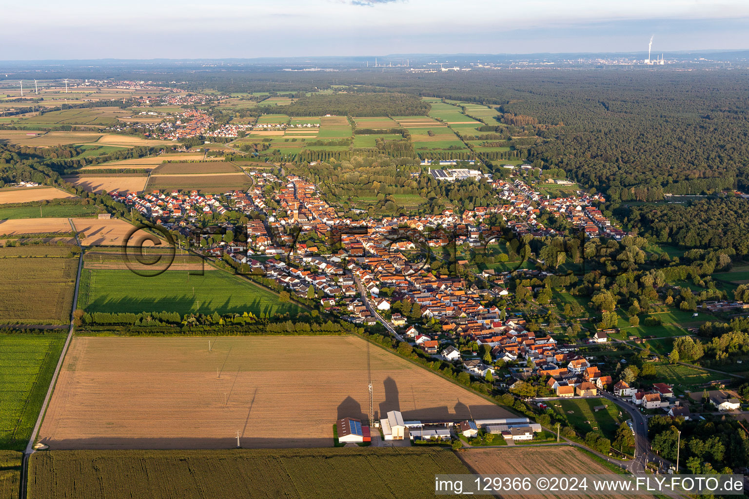 Quartier Schaidt in Wörth am Rhein dans le département Rhénanie-Palatinat, Allemagne vue du ciel