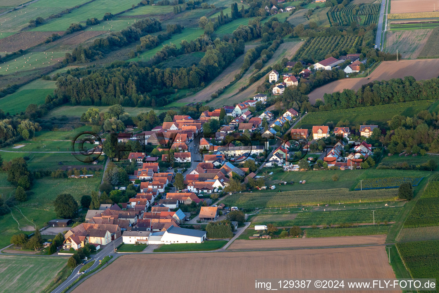 Hergersweiler dans le département Rhénanie-Palatinat, Allemagne hors des airs