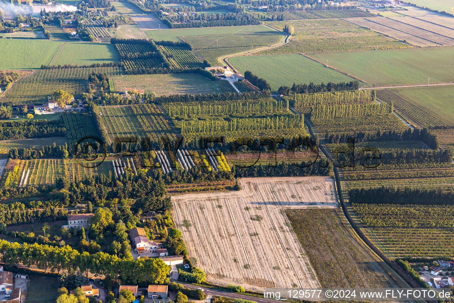 Vue aérienne de Plantations protégées du vent à le quartier Zone Nord-Est Urbaine in Tarascon dans le département Bouches du Rhône, France