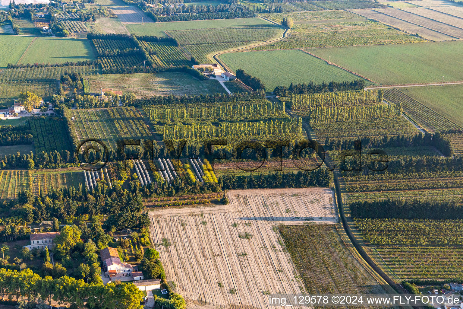 Vue aérienne de Plantations protégées du vent à le quartier Zone Nord-Est Urbaine in Tarascon dans le département Bouches du Rhône, France