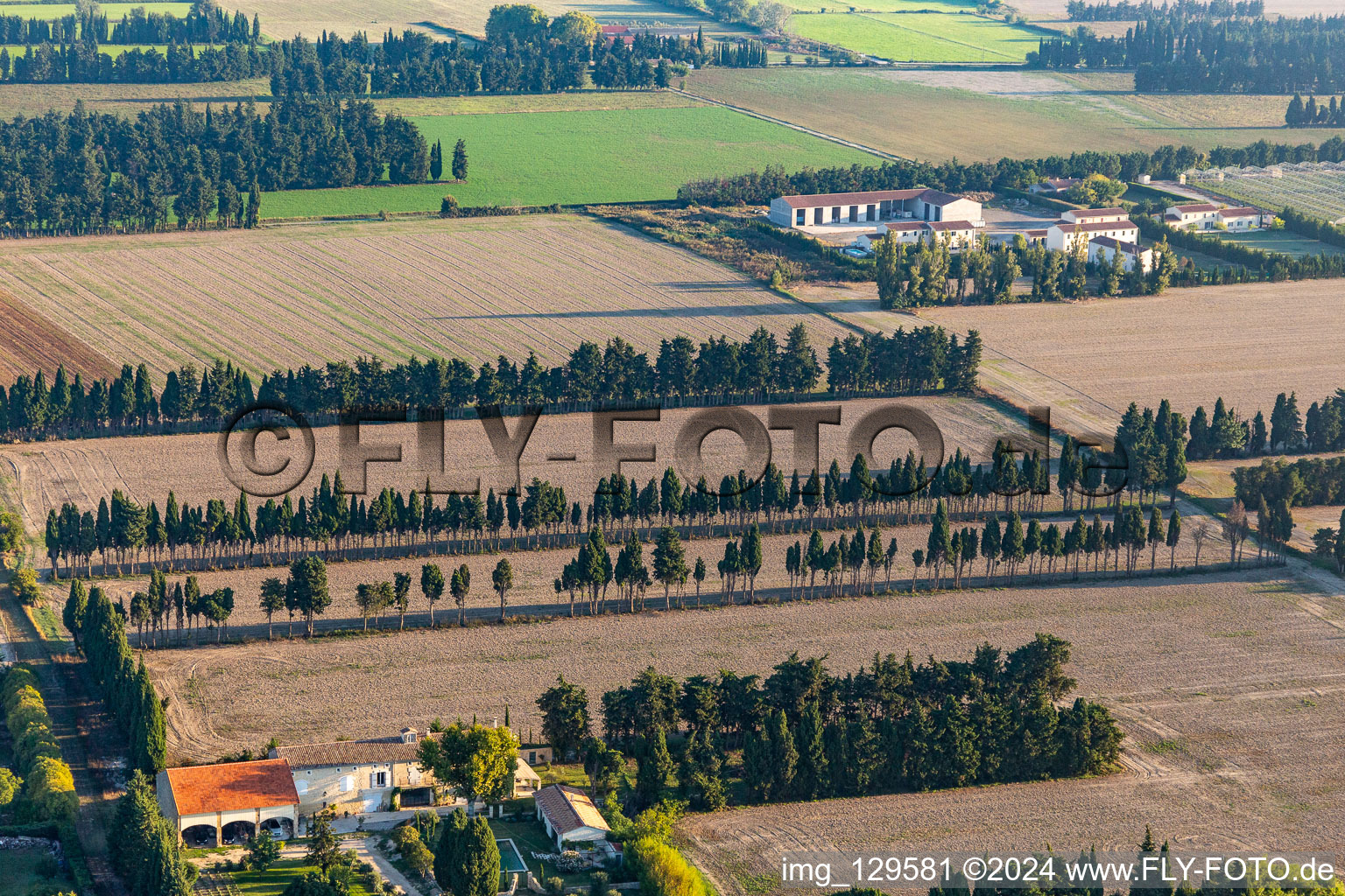 Vue aérienne de Des rangées d'arbres comme protection contre le vent et le mistral en bordure de champ à Saint-Etienne-du-Grès à Saint-Étienne-du-Grès dans le département Bouches du Rhône, France